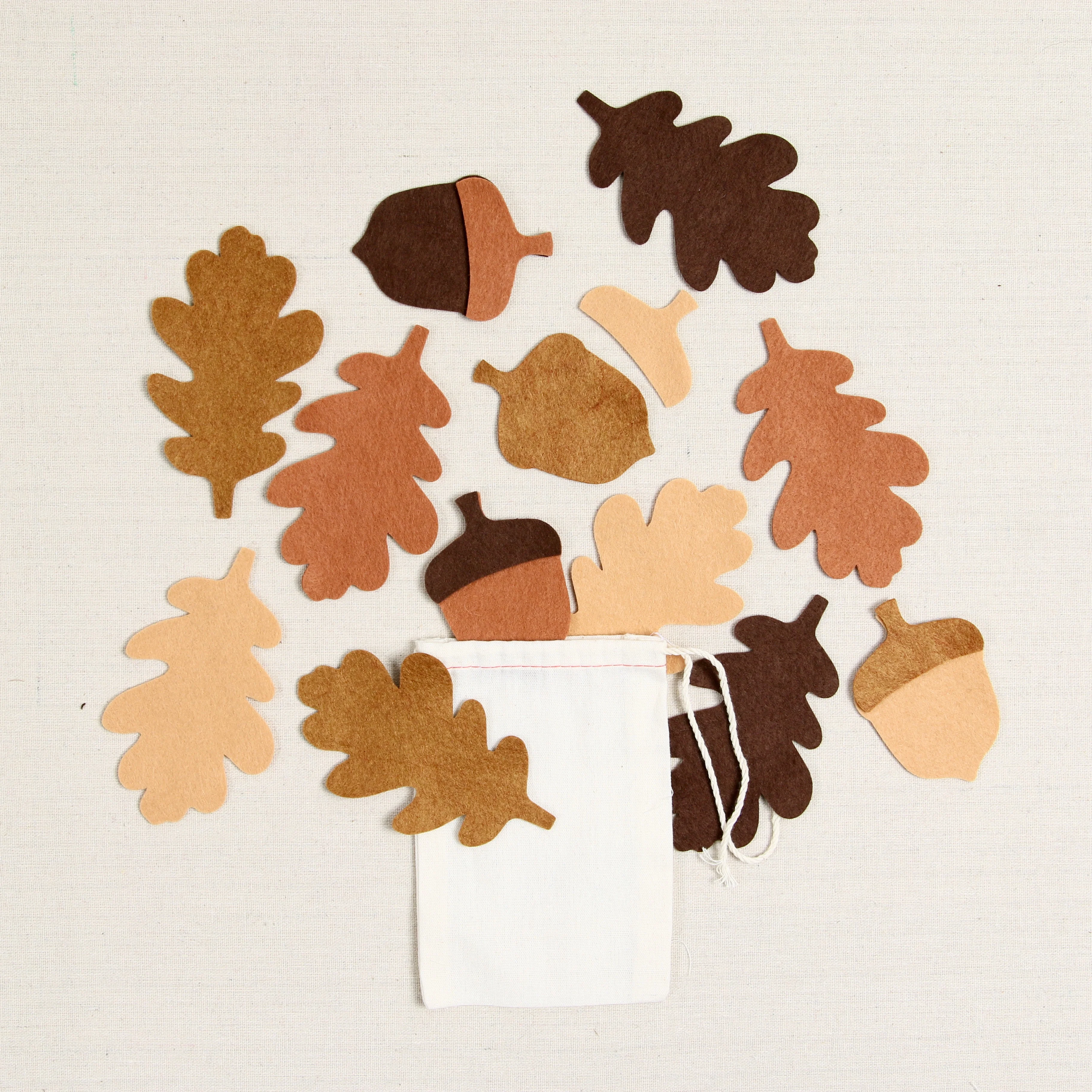 Acorn + Oak Felt-fetti - Image 2