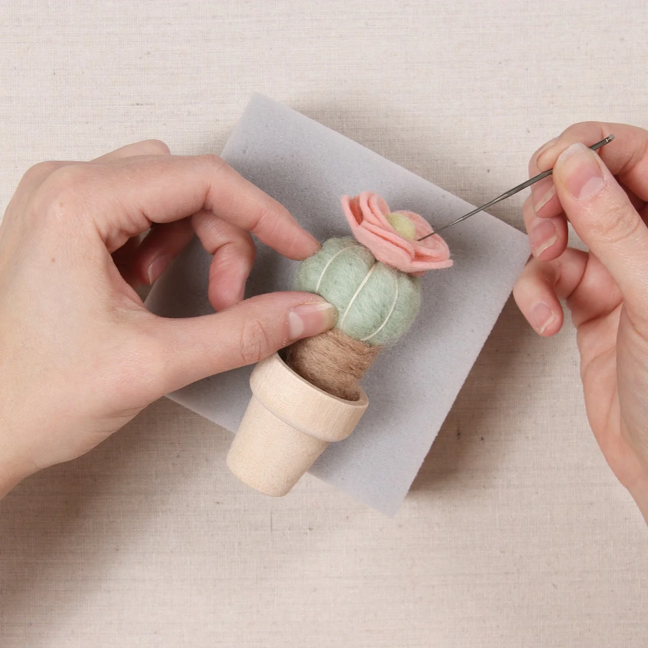 Benzie Bash, Needle Felt a Cactus - Image 2