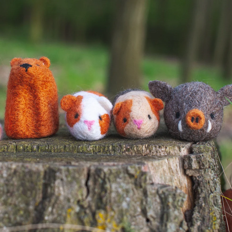 Boar, Needle Felting Kit - Image 11