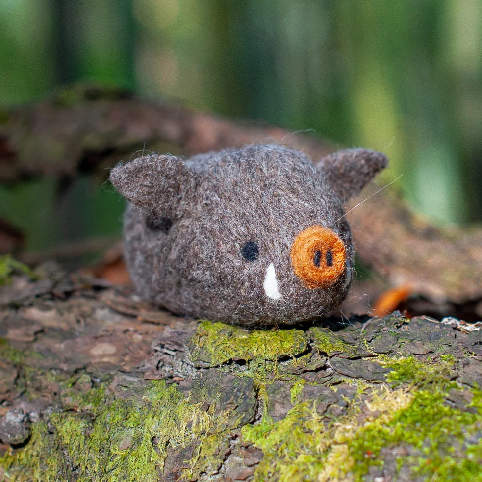 Boar, Needle Felting Kit - Image 3