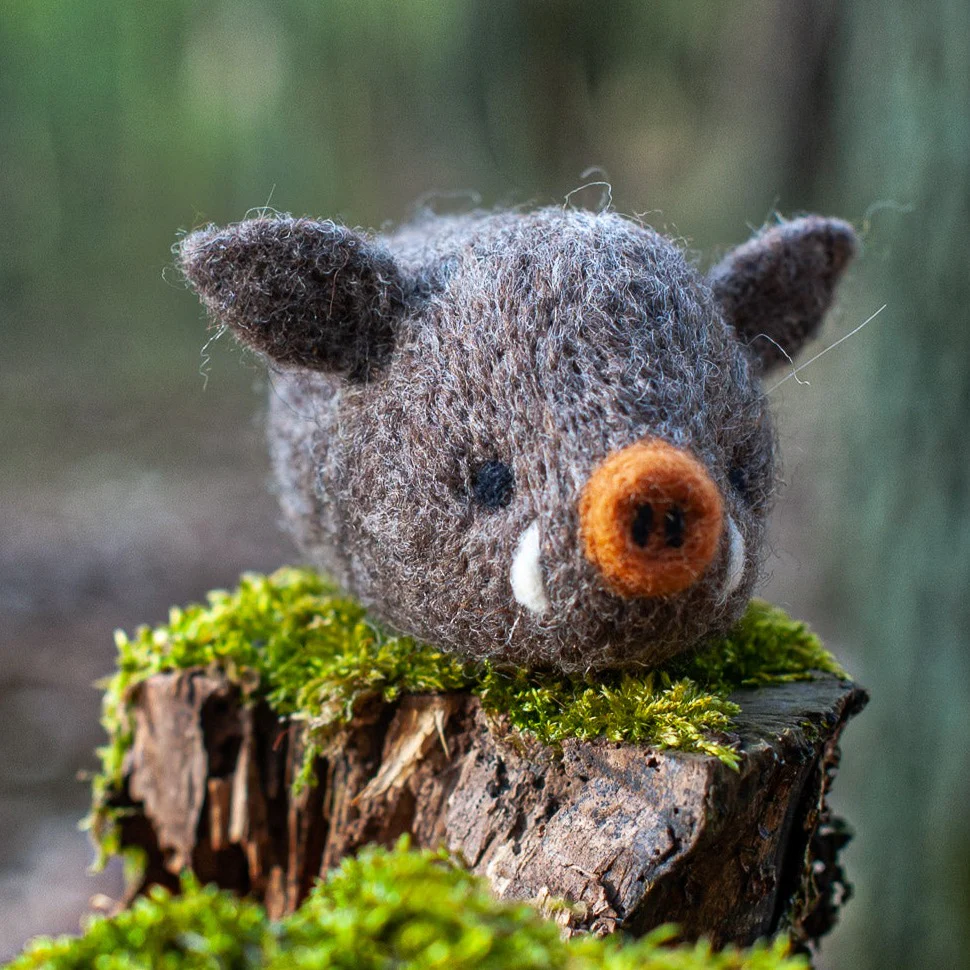 Boar, Needle Felting Kit - Image 6