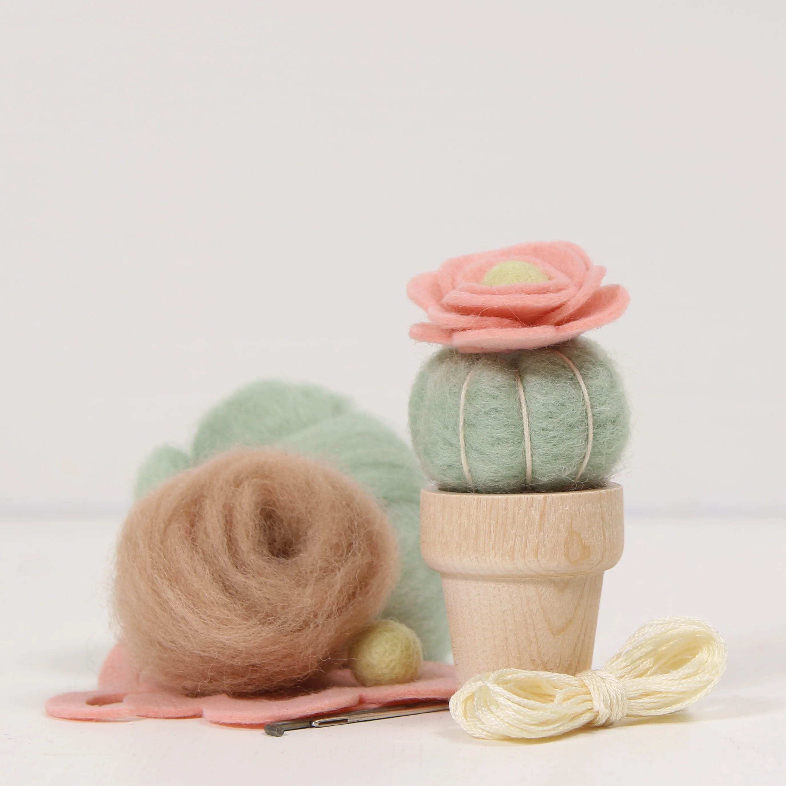 Cactus Needle Felting Kits -Wholesale - Image 3