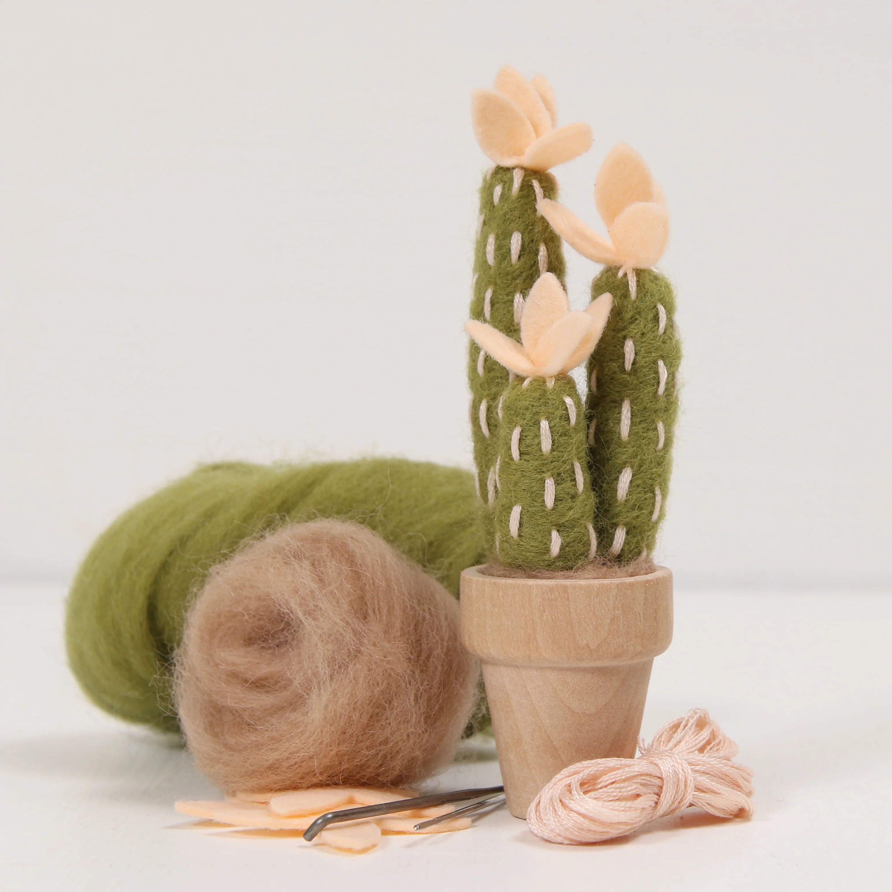 Cactus Needle Felting Kits -Wholesale - Image 4
