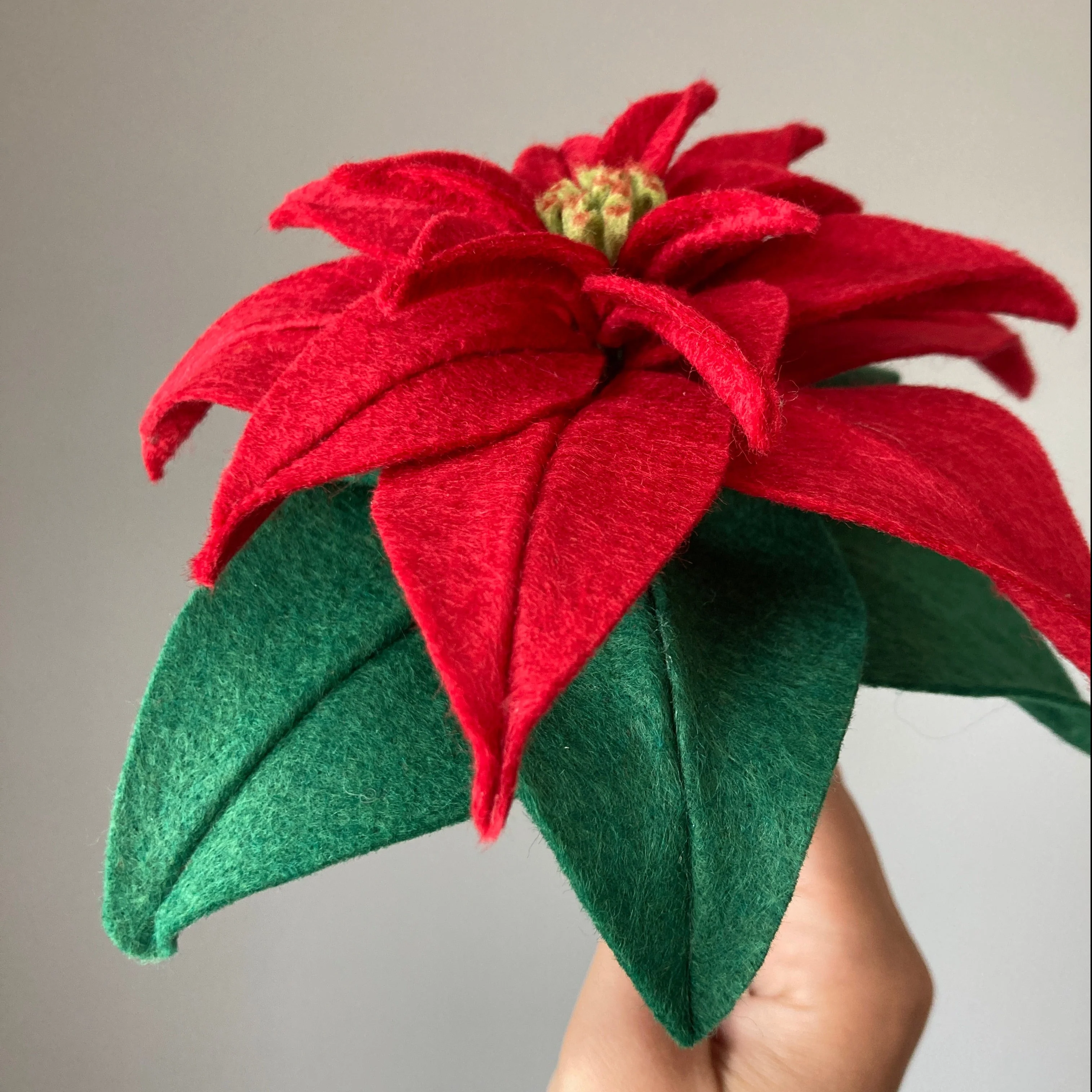 Classic Poinsettia, SVG +PDF Digital Download - Image 2