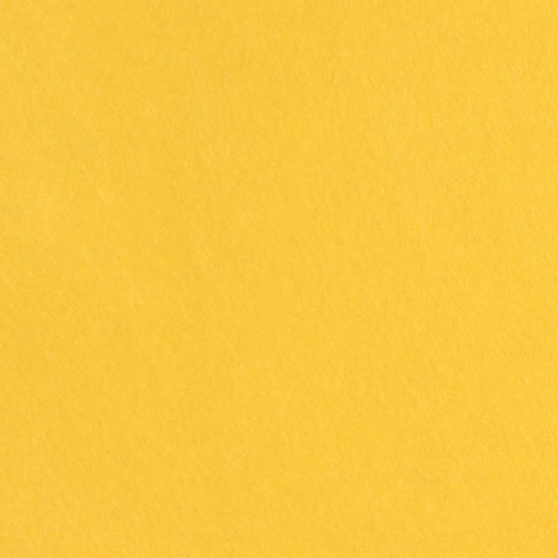 Dandelion Wool Blend Felt