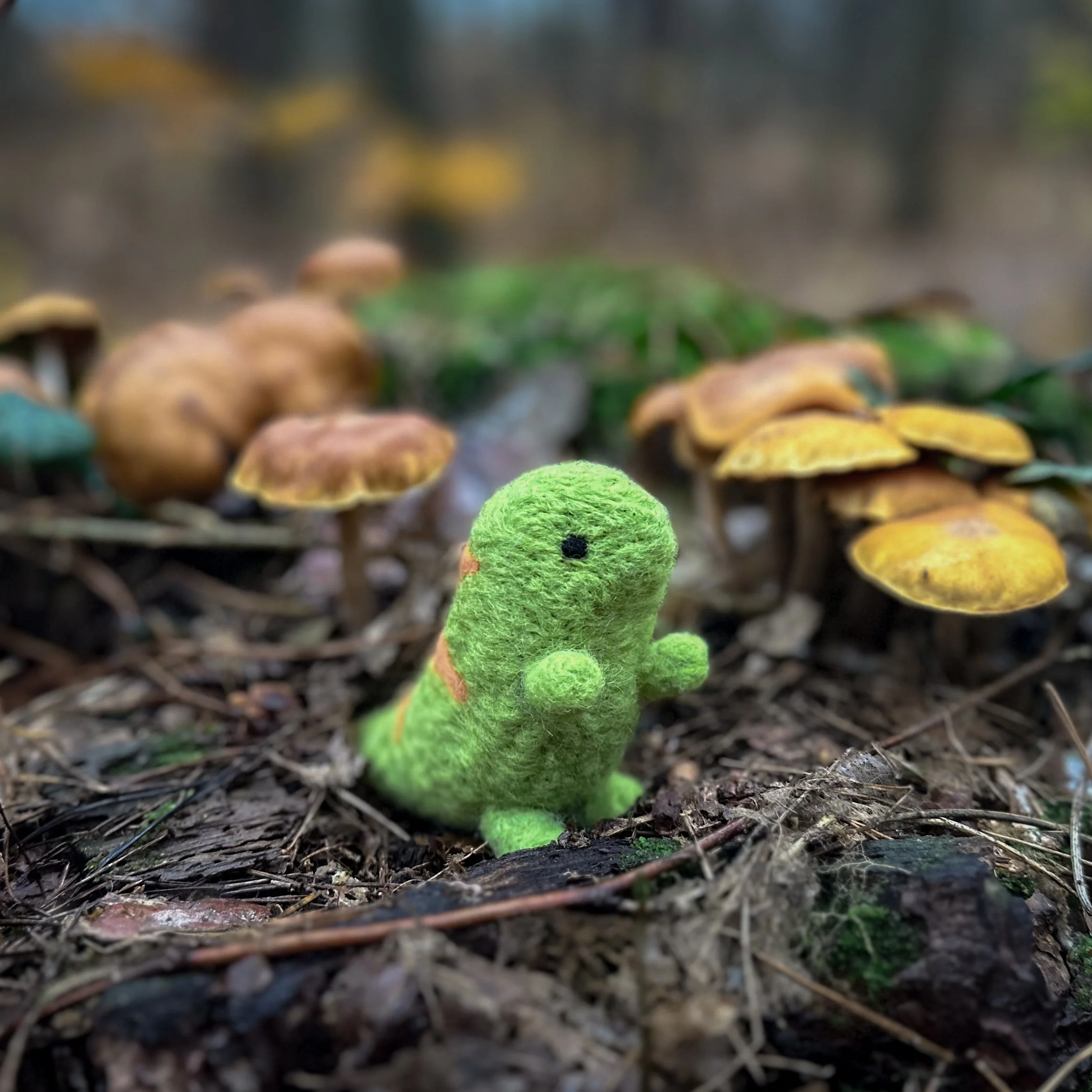 T-Rex, Needle Felting Kit - Image 9
