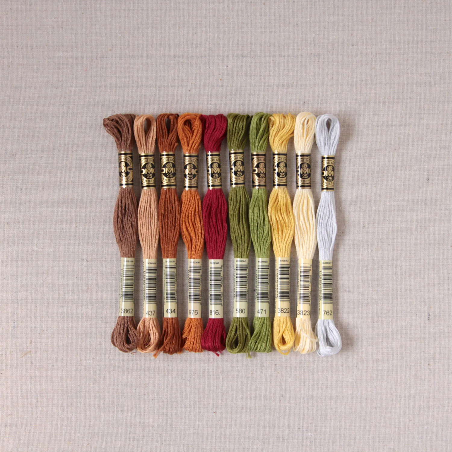 Feast Palette - Image 4