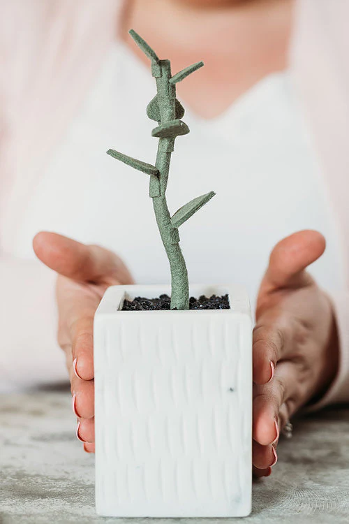 Jade Plant, Intermediate PDF Pattern - Image 4