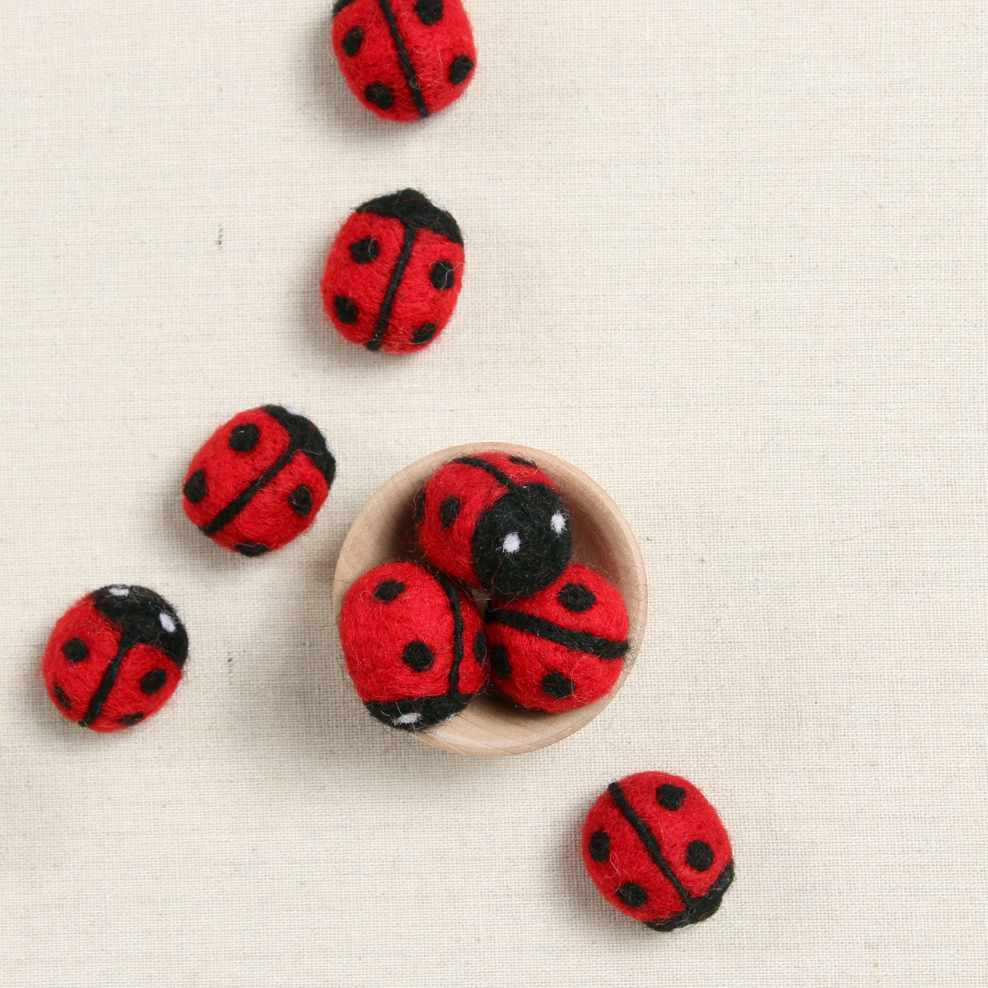 Ladybug - Image 2