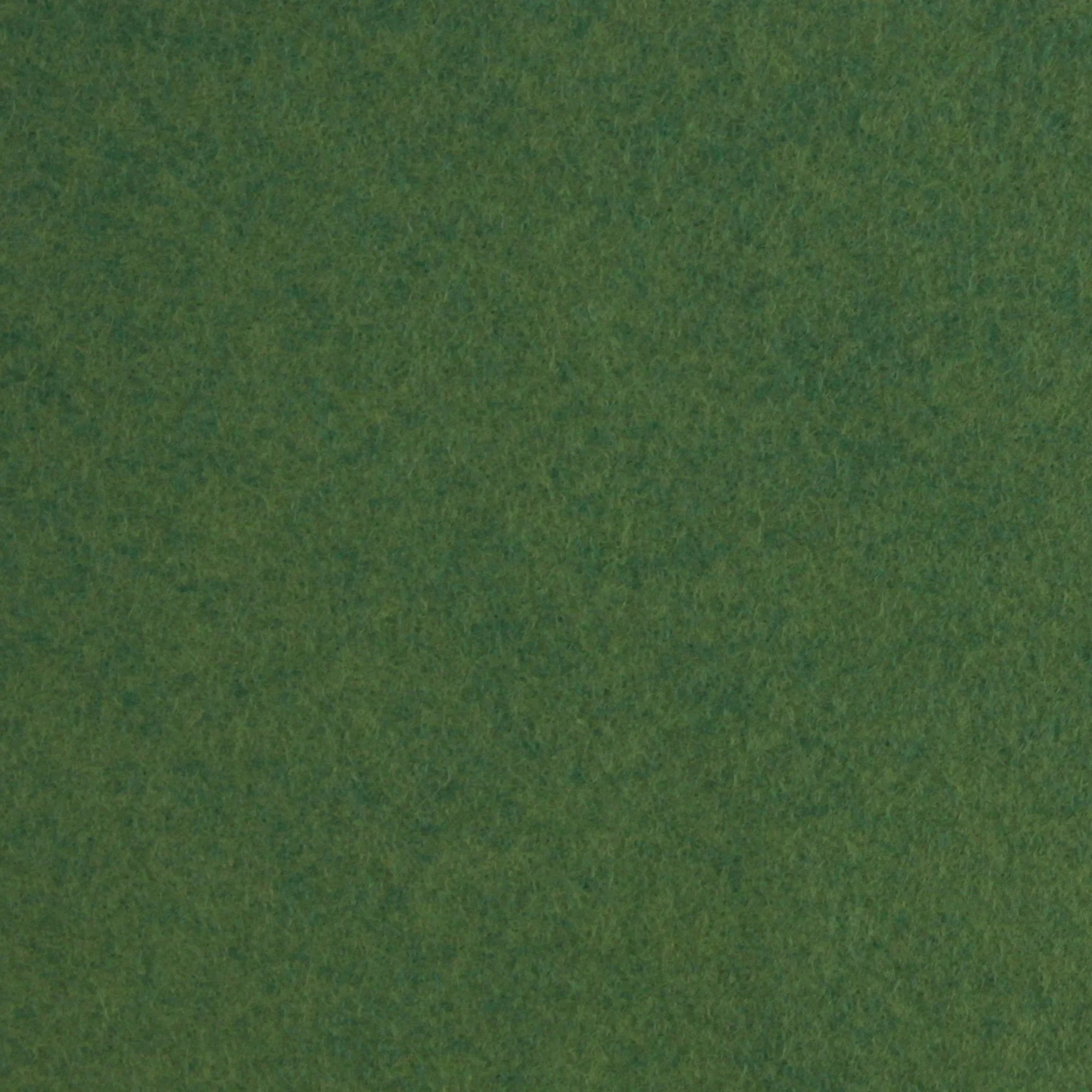 Meadow Wool Blend Felt