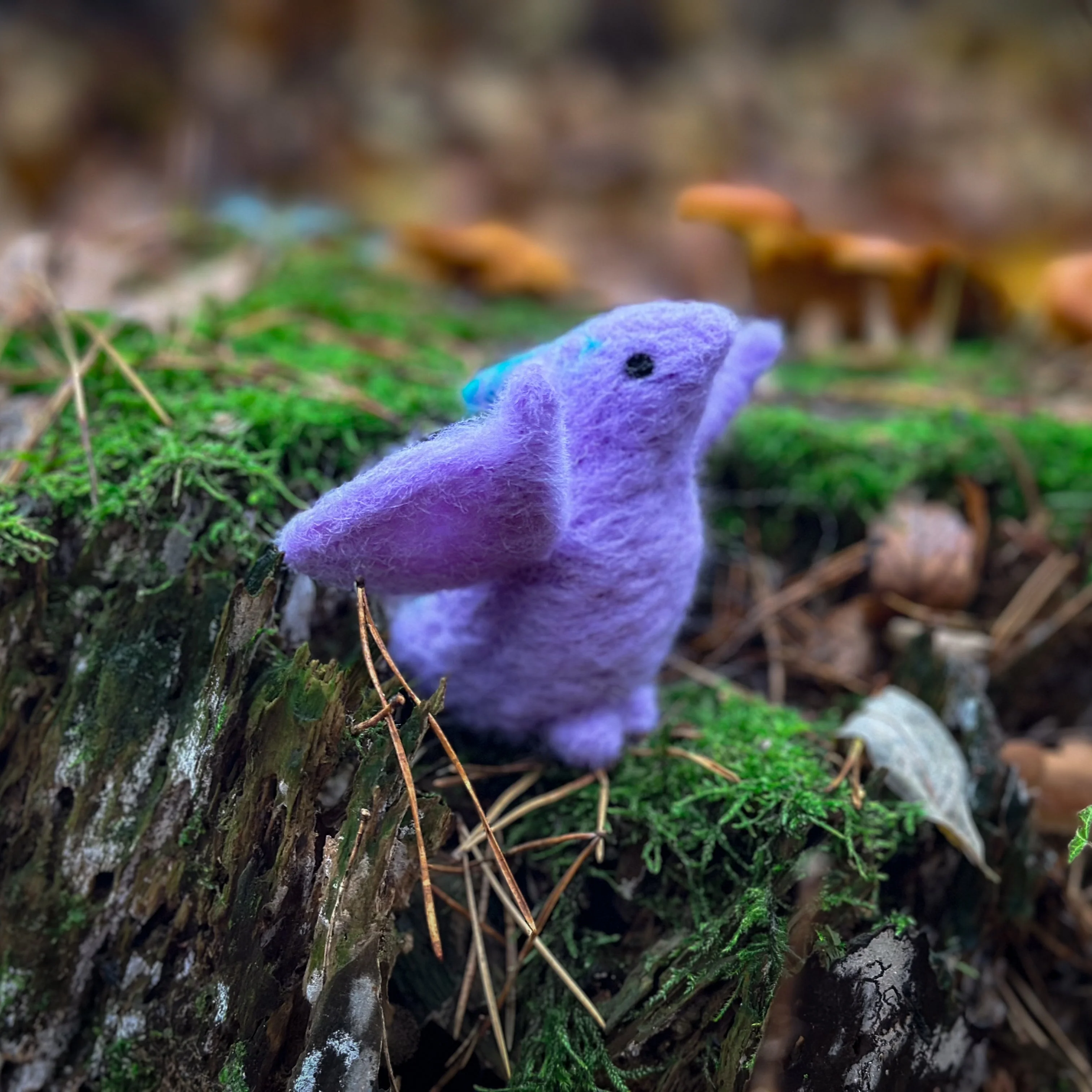 Pterodactyl, Needle Felting Kit - Image 8