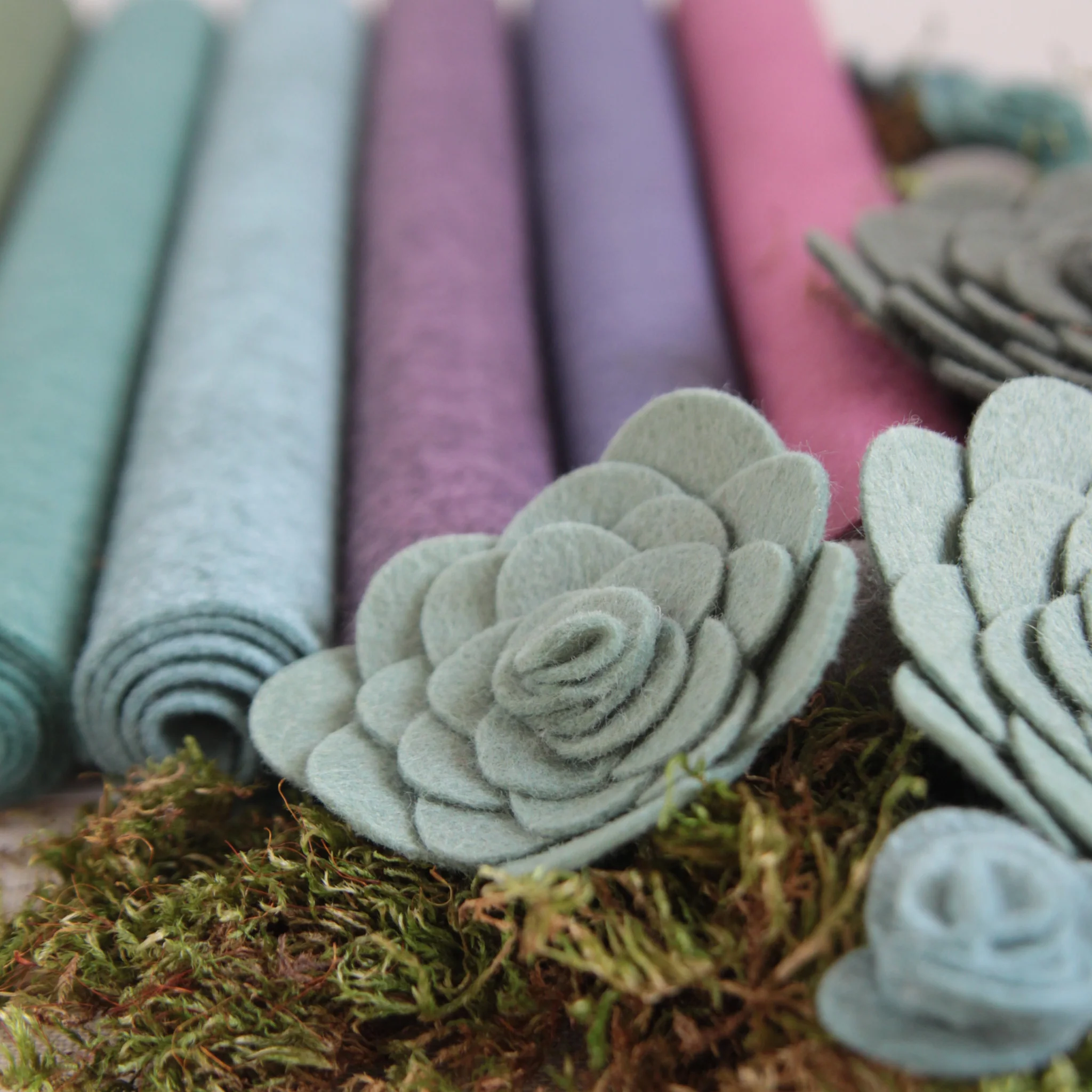 Succulents Palette - Image 2