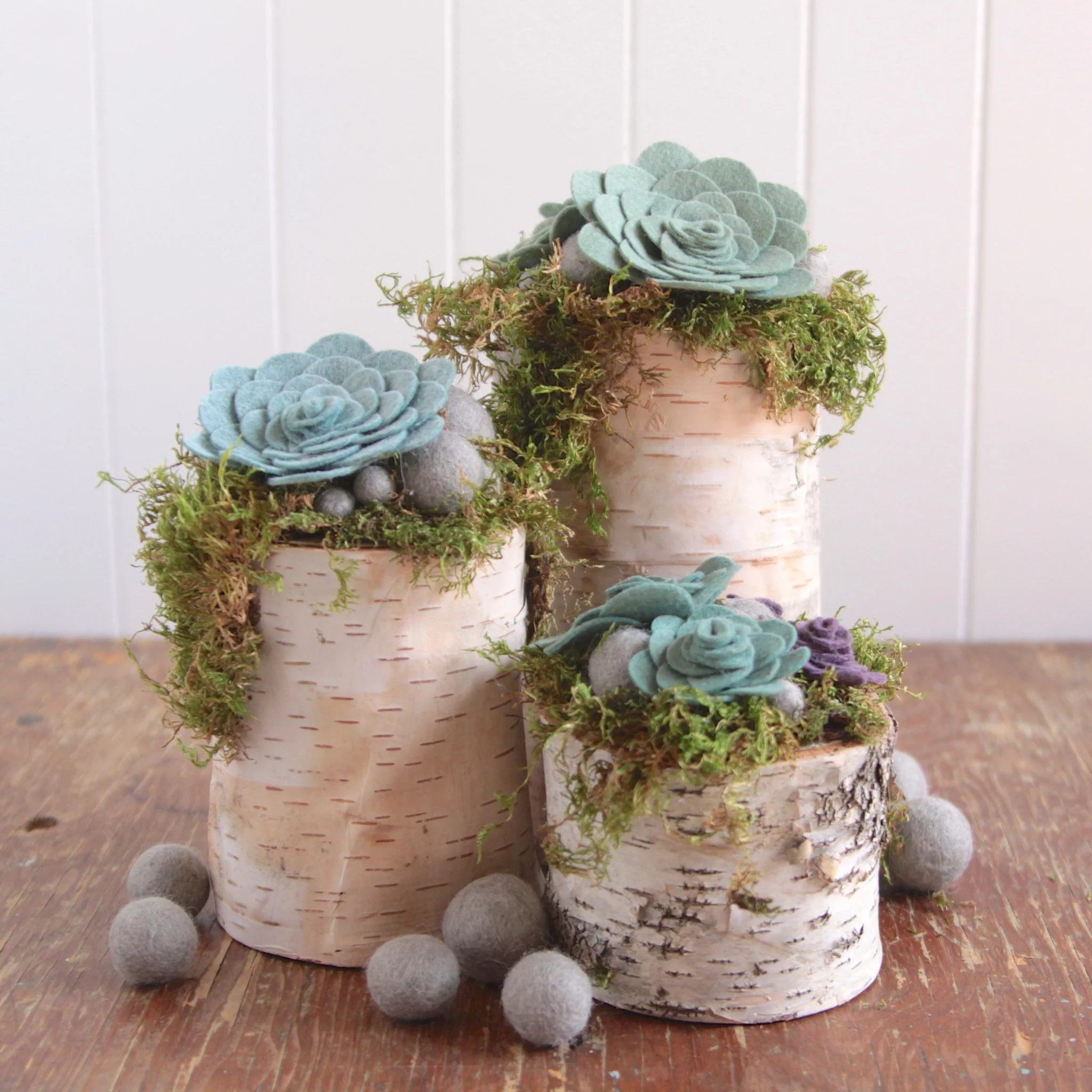 Succulents Palette - Image 3