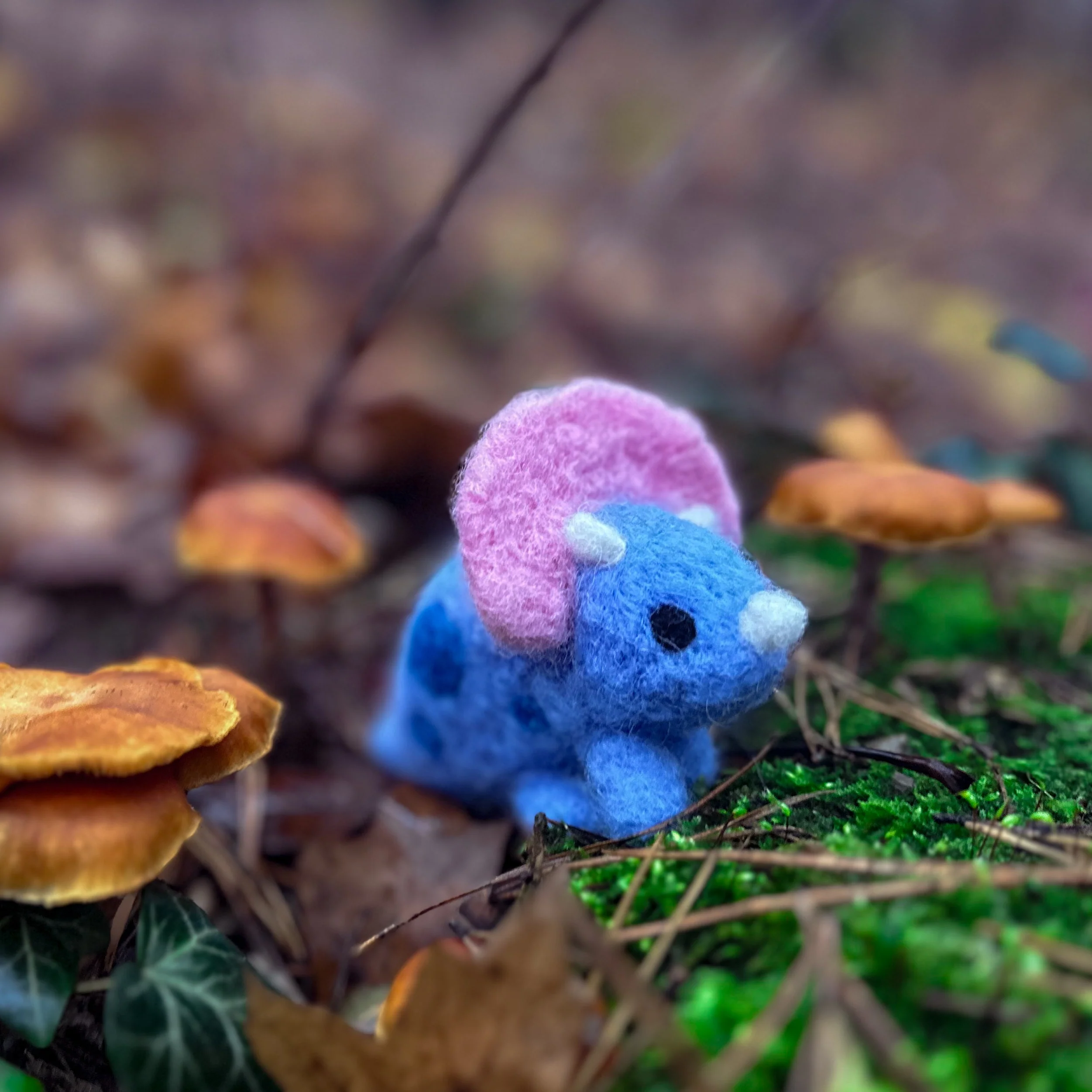 Triceratops, Needle Felting Kit - Image 9