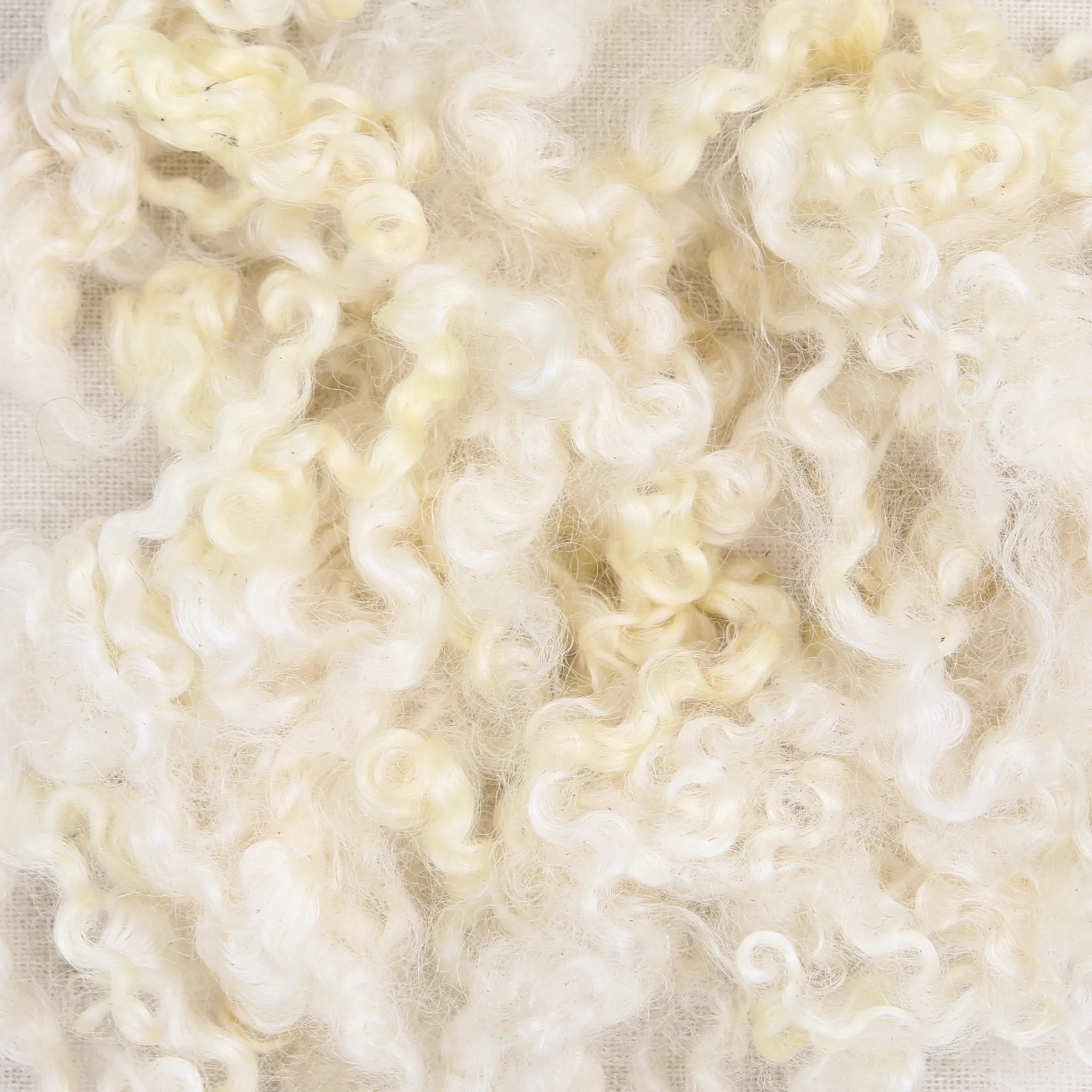 Wensleydale Curls, Natural - Image 3