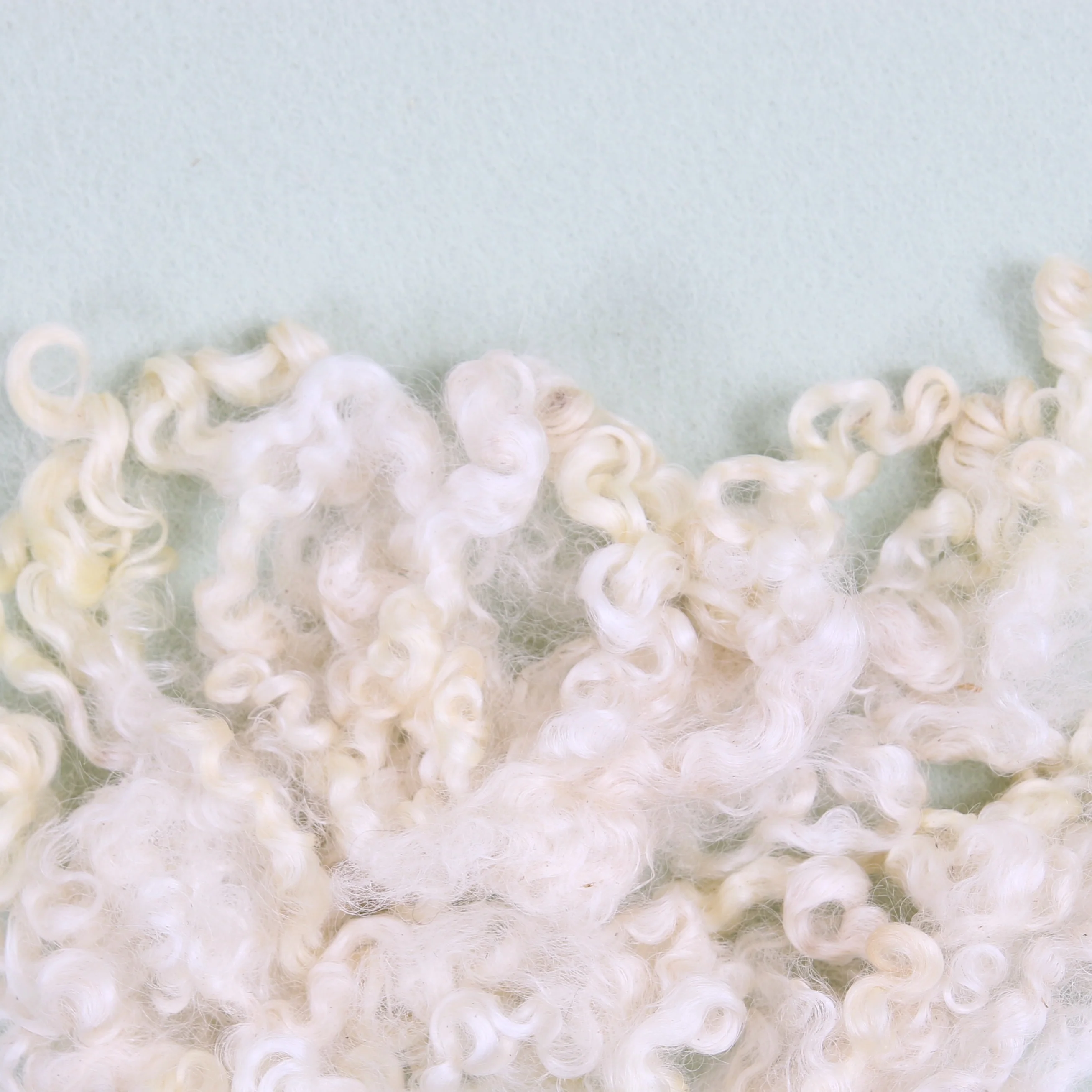 Wensleydale Curls, Natural - Image 4
