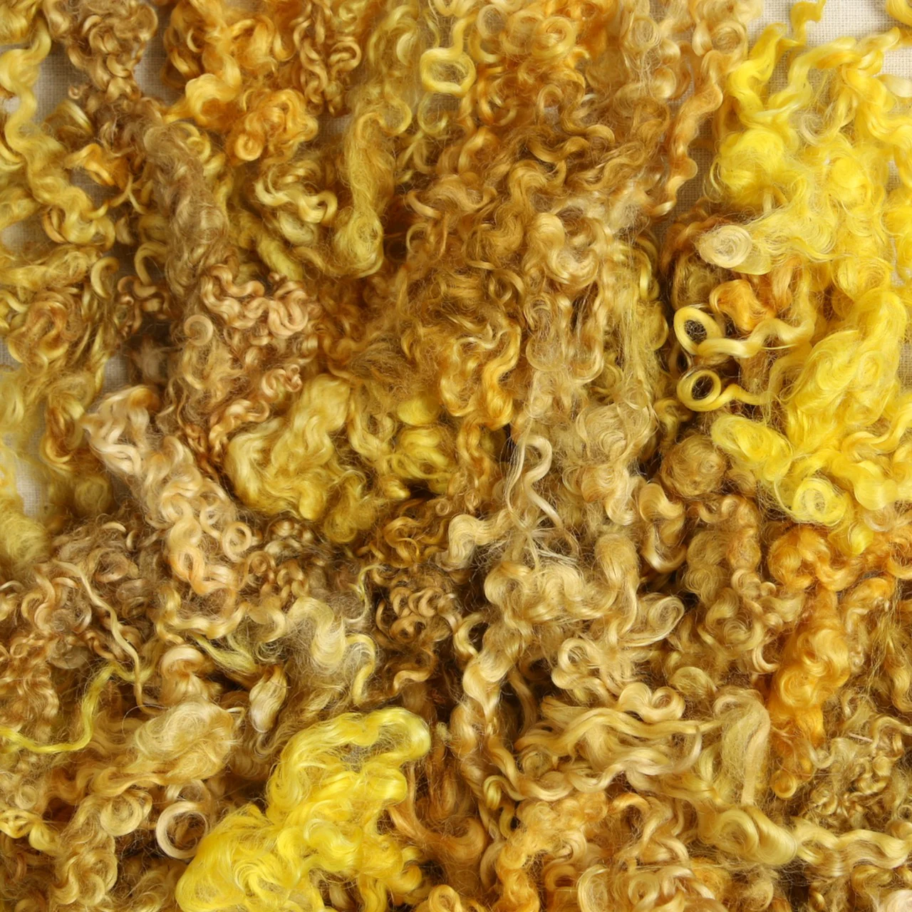Wensleydale Curls, Yellow - Image 2