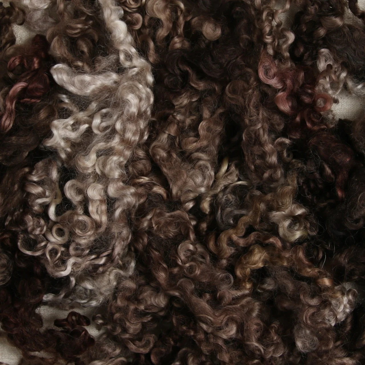 Wensleydale Curls, Morel Brown - Image 2