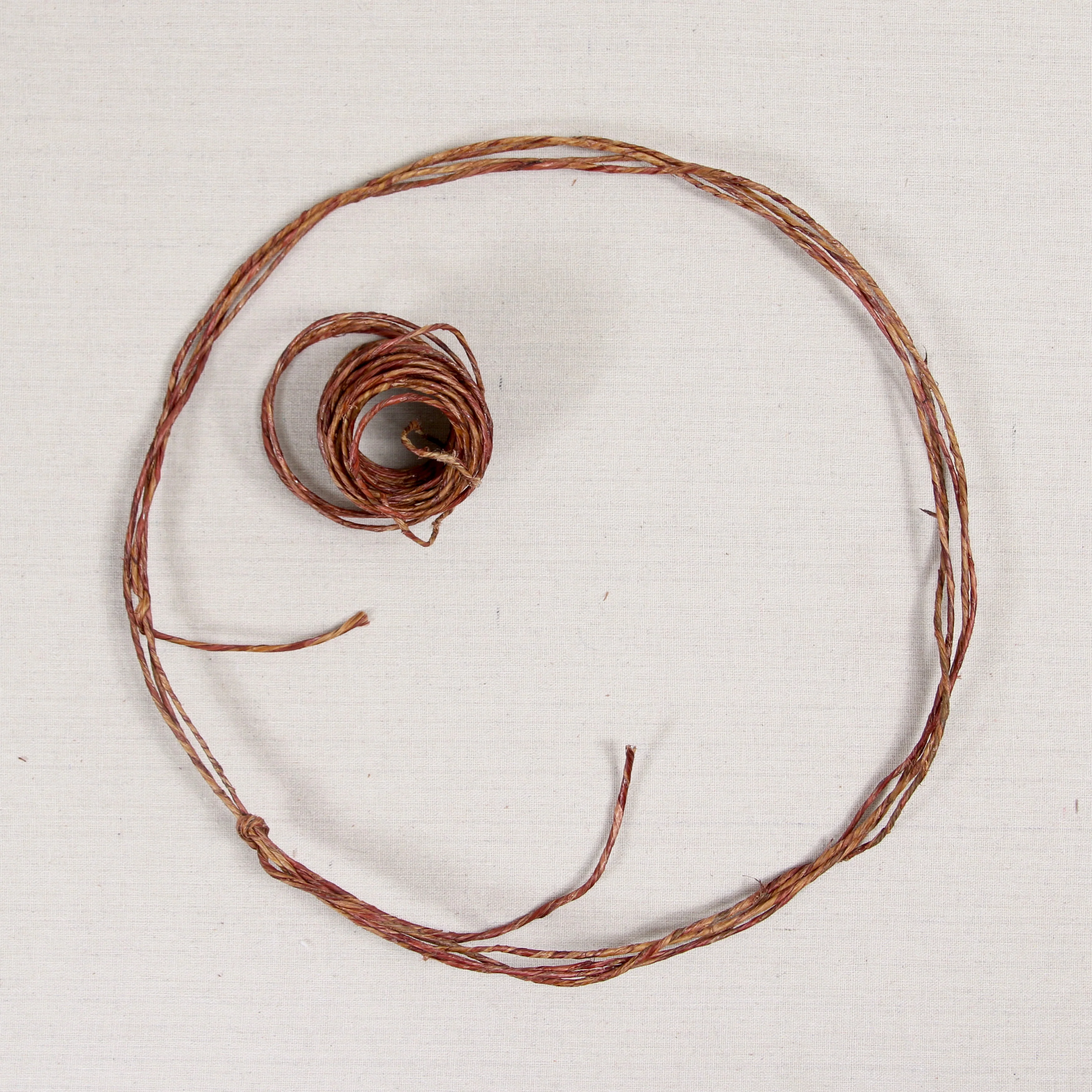 Wired Vine - Image 4